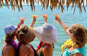 party-on-cruisin-tikis-long-beach-island.jpg